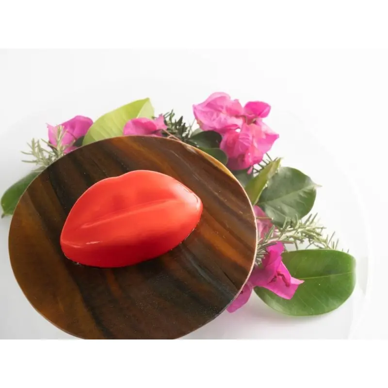 Professional Silicone Silicone Mould Lips - 29 x 17 x 4 cm