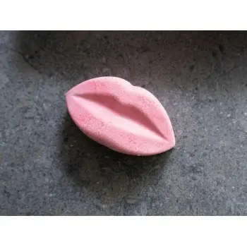 Professional Silicone Silicone Mould Lips - 29 x 17 x 4 cm