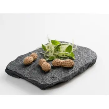 Professional Silicone Silicone Mould Peanut - 30 x 18 x 3 cm