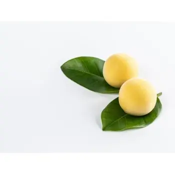 Professional Silicone Silicone Mould Sphere - 29 x 17 x 3 cm