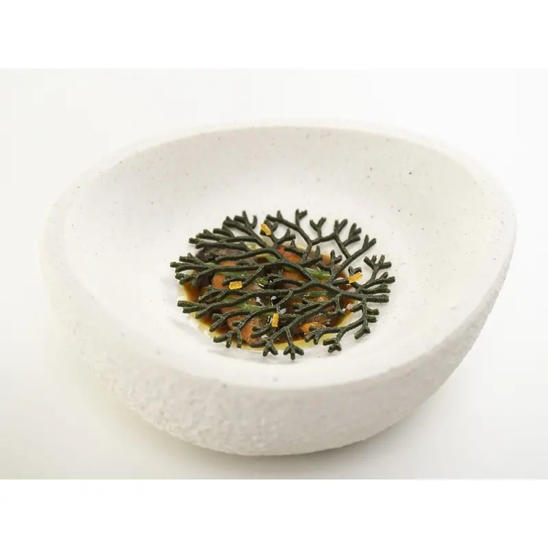 Professional Silicone Silicone Mould Algae - 26 x 9 x 1 cm