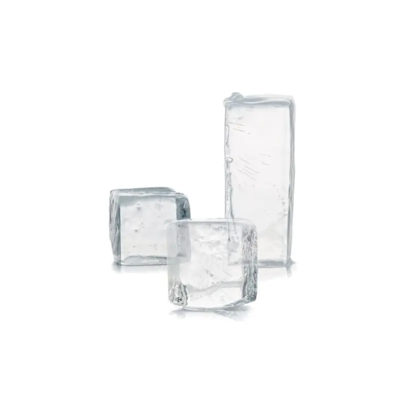Professional Plastic Ice Cube Mould - 30 x 20 x 20 cm