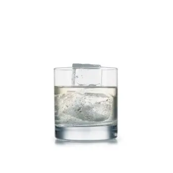 Professional Plastic Ice Cube Mould - 30 x 20 x 20 cm