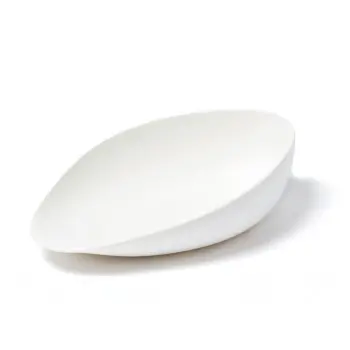 Professional Porcelain Plaisir Plate white 4 XL -