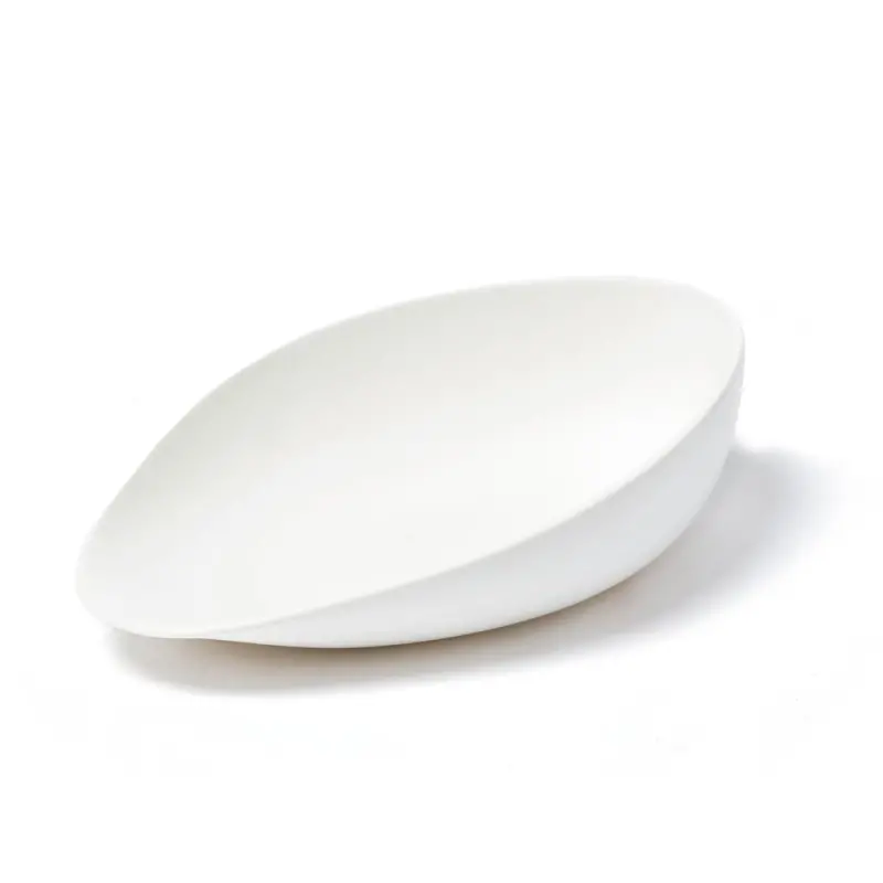 Professional Porcelain Plaisir Plate white 4 XL -