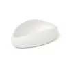 Professional Porcelain Plaisir Plate white 6 - 11.3x12x16 cm