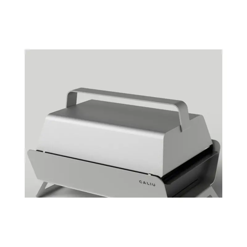 Professional 25 x 10 x 15 cm Caliu Lid Caliu 1 u. - 1