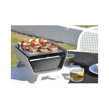 Professional 40 x 30 x 25 cm BBQ Caliu Horeca - 1
