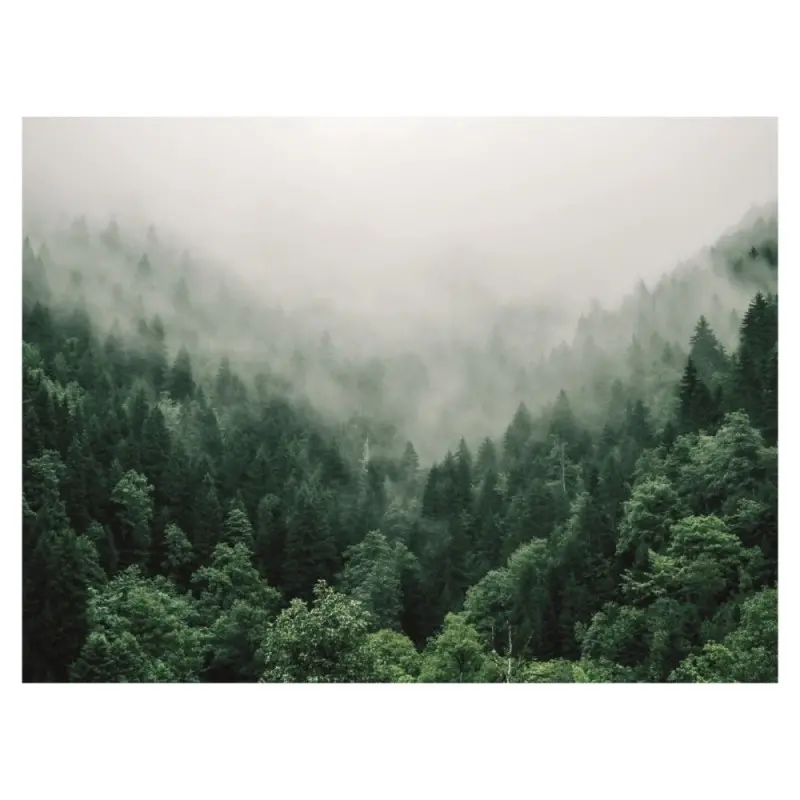 Professional Methacrylate Gn 1/1 Led Tray Sheet Earth Les Essences - 29.7 x 42 cm