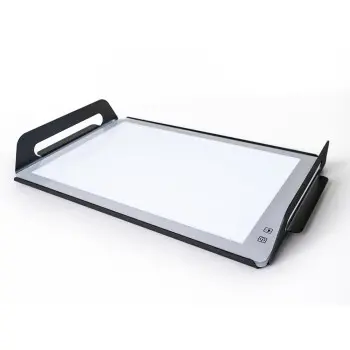 Professional AISI 304 GN 1/1 Tray Silver Les Essences 1 u. - 32.5 x 53 x 5.4 cm