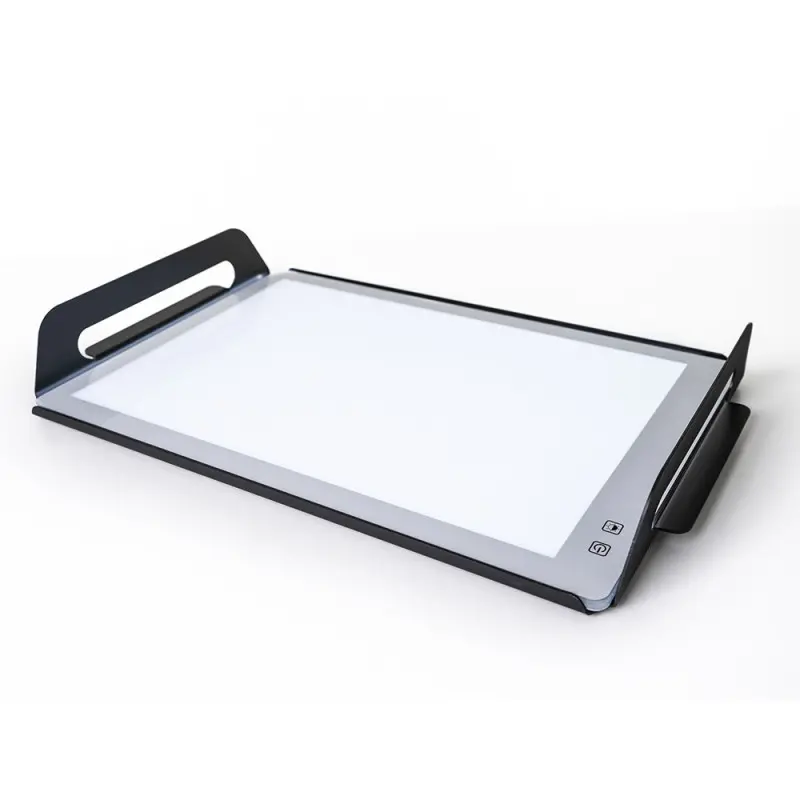 Professional AISI 304 GN 1/1 Tray Silver Les Essences 1 u. - 32.5 x 53 x 5.4 cm