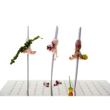 Professional Stainless Steel Display Board 169 Skewers (foam included) - 30 x 30 cm