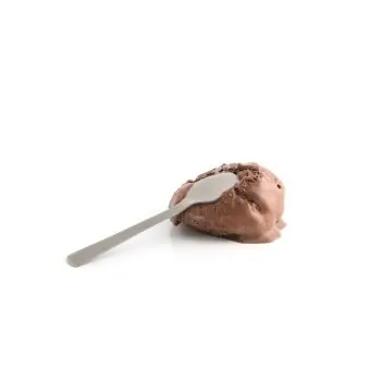 Professional Stainless Steel Stainless Steel Ice Cream Spoon Matte - 9.5 x 2 x 0.5 cm