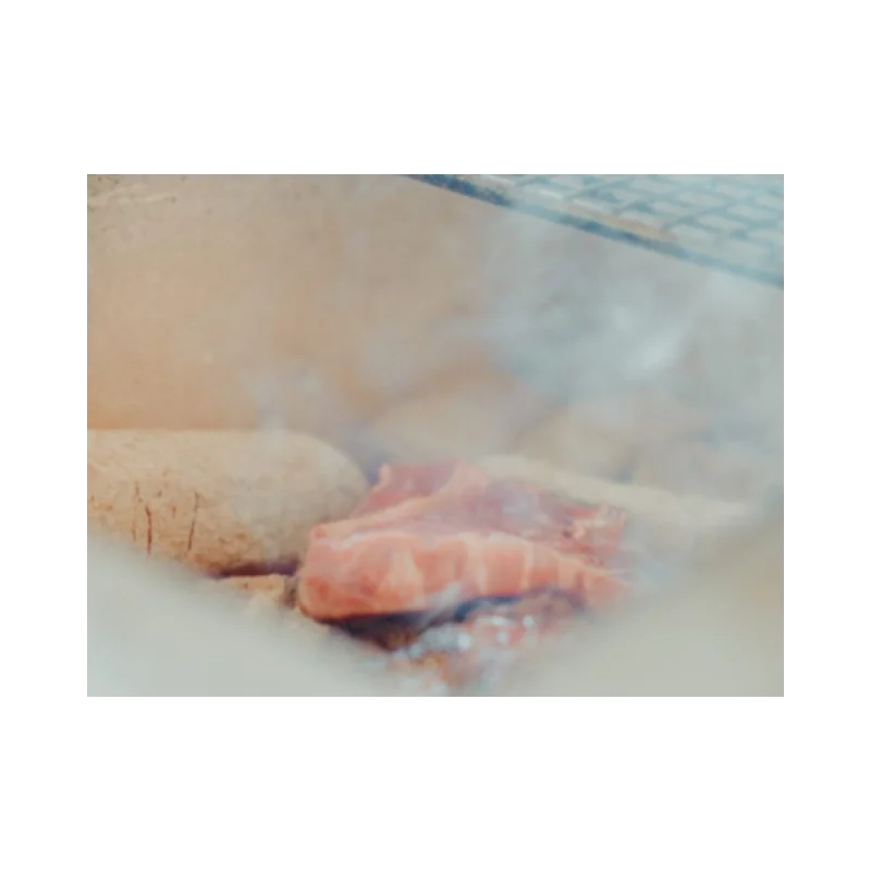 Professional Stainless Steel & Vermiculite Barbeque Kasai Nano - 31 x 23 x 16.5 cm