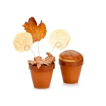 Professional Ceramic Flower Pot Terra Xtrem M - Ø 8 x 7.5 cm 175 ml