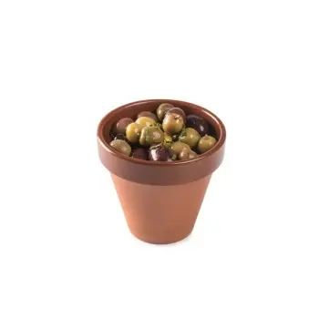 Professional Ceramic Flower Pot Terra Xtrem M - Ø 8 x 7.5 cm 175 ml