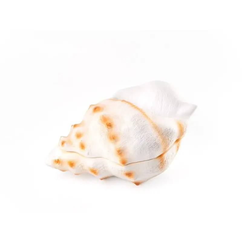 Professional Resin Seashell Plate Bowl - 26 x 17 x 13 cm