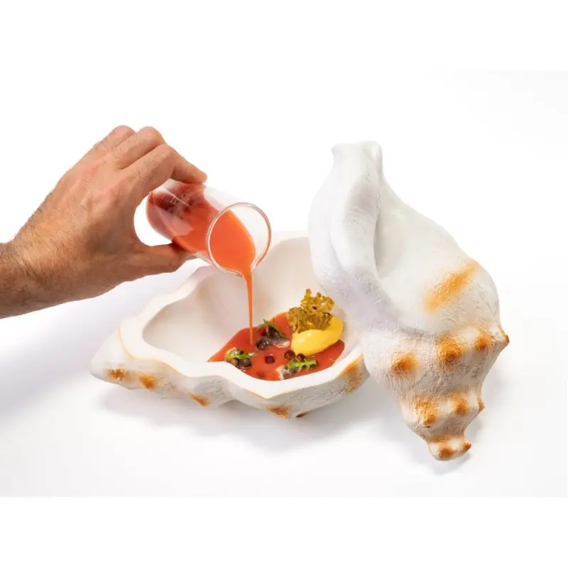 Professional Resin Seashell Plate Bowl - 26 x 17 x 13 cm