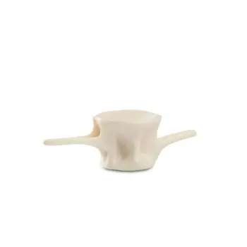 Professional Resin Plate Tuna Vertebra - 21 x 8 x 6 cm plato Ø 8 cm