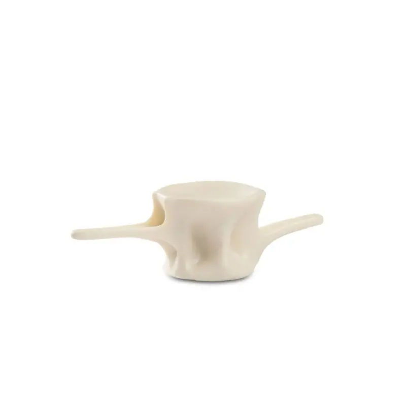 Professional Resin Plate Tuna Vertebra - 21 x 8 x 6 cm plato Ø 8 cm