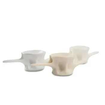 Professional Resin Plate Tuna Vertebra - 21 x 8 x 6 cm plato Ø 8 cm