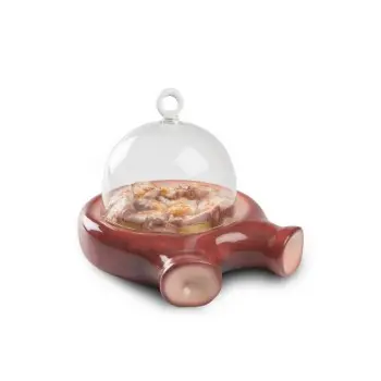 Professional Resin Octopus Slide Plate - 24 x 20 cm plato Ø 17 cm