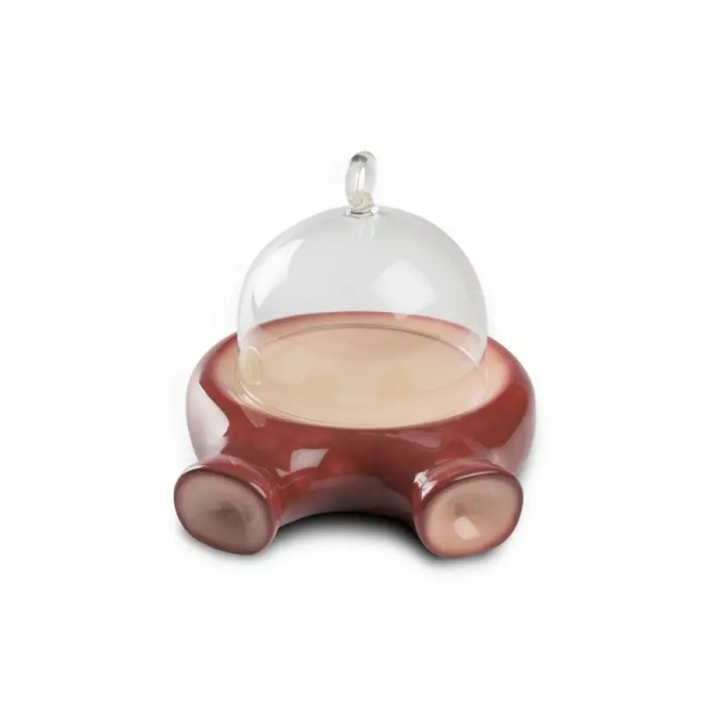 Professional Resin Octopus Slide Plate - 24 x 20 cm plato Ø 17 cm