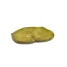 Professional Resin Leaf Spring Green - 19 x 14 cm