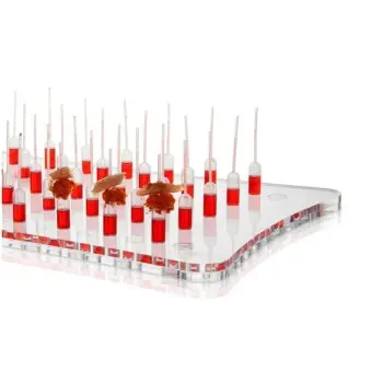 Professional Methacrylate Support Gastro for conical pipettes - 53 x 32.5 cm agujero Ø 1 cm