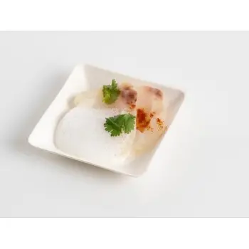 Professional Bagaze Bagasse Plate100 pcs. - 6 x 6 x 6 cm