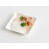 Professional Bagaze Bagasse Plate100 pcs. - 6 x 6 x 6 cm