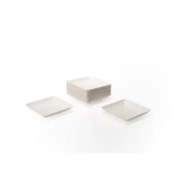 Professional Bagaze Bagasse Plate100 pcs. - 6 x 6 x 6 cm