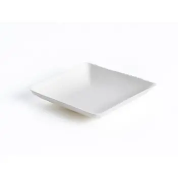 Professional Bagaze Bagasse Plate100 pcs. - 6 x 6 x 6 cm