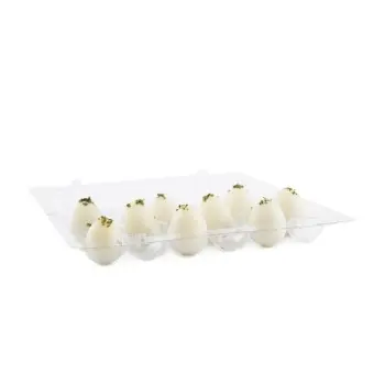 Professional Plastic Quail Egg Carton 18 eggs - 15 x 11 x 3 cm