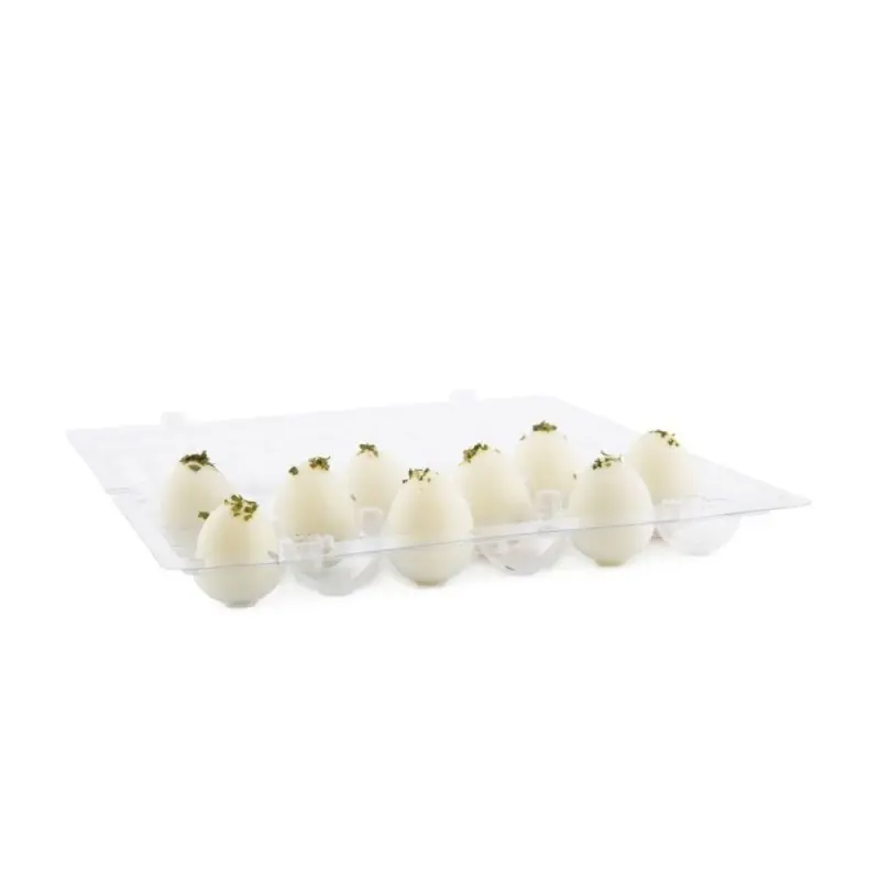 Professional Plastic Quail Egg Carton 18 eggs - 15 x 11 x 3 cm