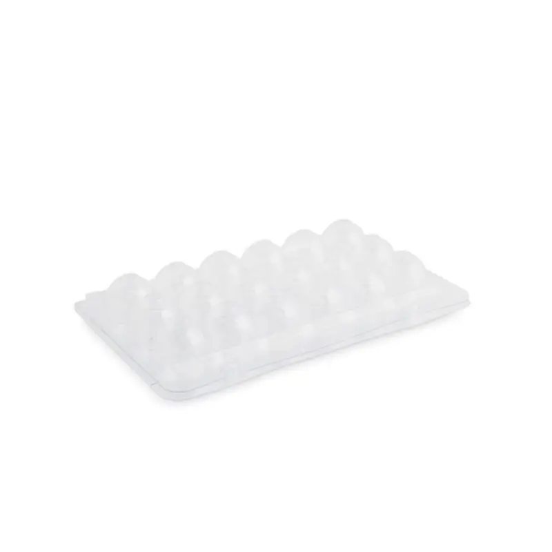 Professional Plastic Quail Egg Carton 18 eggs - 15 x 11 x 3 cm