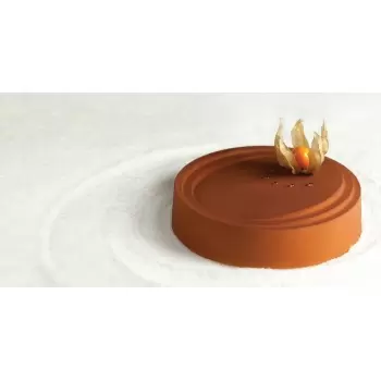 Thermoformed Frozen Cake 3D Molds - KT15 - Set of 10