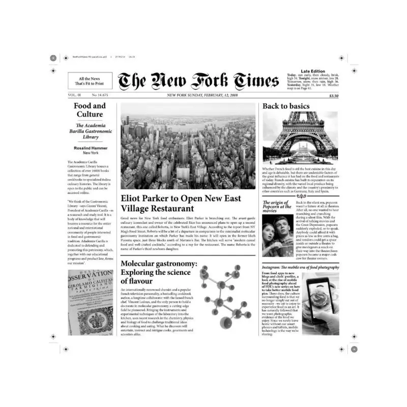 Professional Newspaper "New Fork Times" - Professional Newspaper "New Fork Times" -