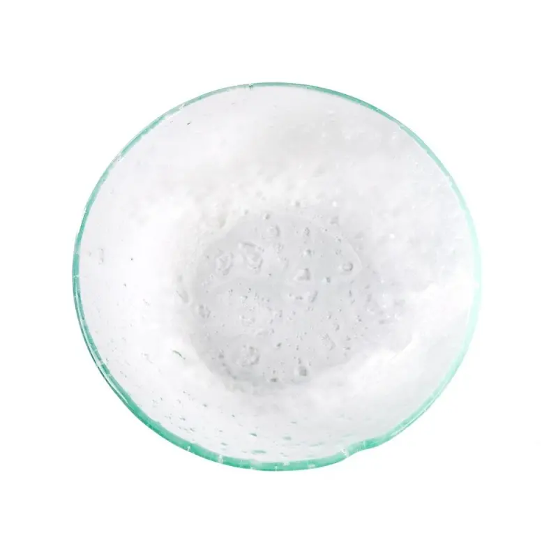 Professional Glass Lago Paradiso Plate Ø20 - Ø 20 cm Professional Glass Lago Paradiso Plate Ø20 - Ø 20 cm