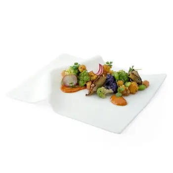 Professional Glass White Napkin Plate - 22 x 18 x 2 cm