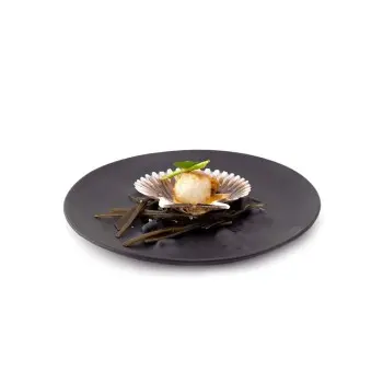 Professional Glass Black Boiling XS Plate - 20 x 20 x 2 cm