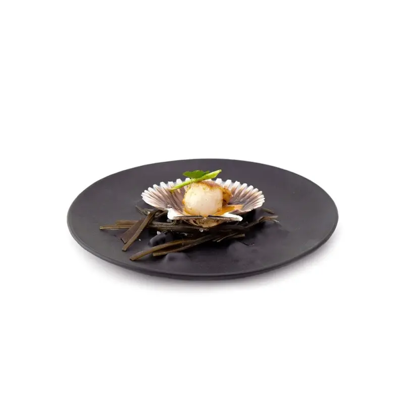 Professional Glass Black Boiling XL Plate - Ø 26 x 2 cm