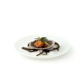 Professional Glass White Boiling XL Plate - Ø 26 x 2 cm