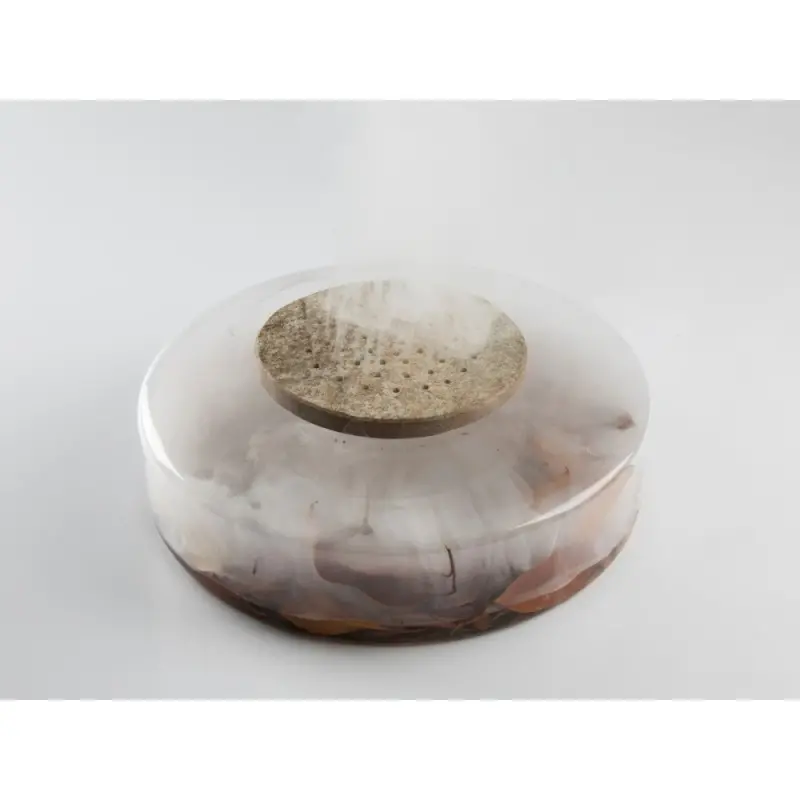 Professional Borosilicate Advance Scene - Ø 28 x 8.5 cm Professional Borosilicate Advance Scene - Ø 28 x 8.5 cm