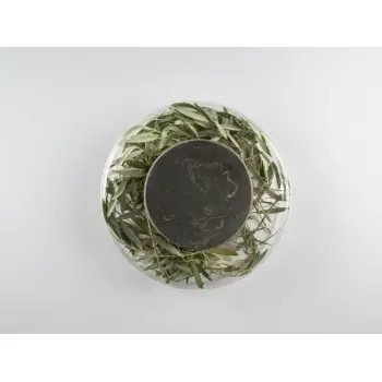 Professional Borosilicate Advance Scene - Ø 28 x 8.5 cm