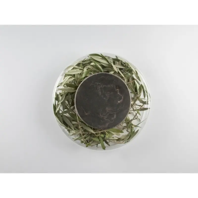 Professional Borosilicate Advance Scene - Ø 28 x 8.5 cm Professional Borosilicate Advance Scene - Ø 28 x 8.5 cm