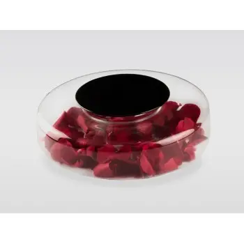 Professional Borosilicate Advance Scene - Ø 28 x 8.5 cm