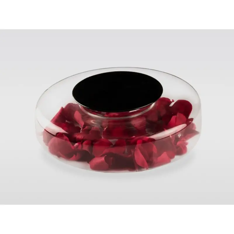 Professional Borosilicate Advance Scene - Ø 28 x 8.5 cm Professional Borosilicate Advance Scene - Ø 28 x 8.5 cm