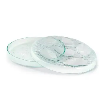 Professional Glass Presentation Tray 6 Oysters - 28 x 28 x 4 cm