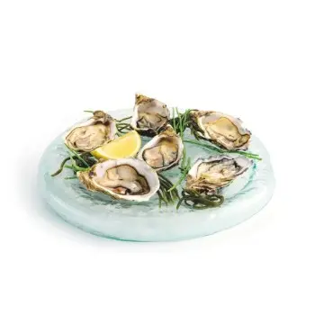 Professional Glass Presentation Tray 6 Oysters - 28 x 28 x 4 cm